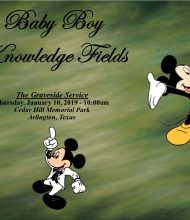 Baby Boy Knowledge Fields